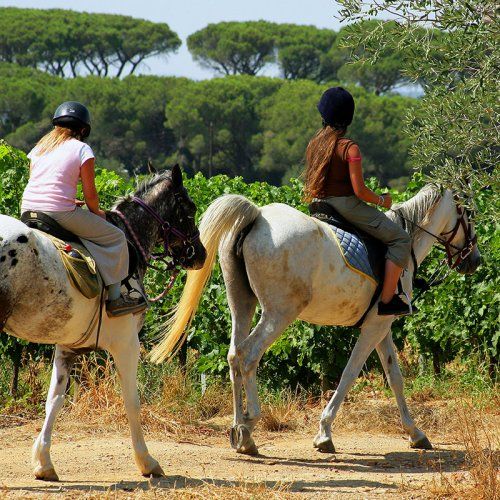 Paseos a Caballo